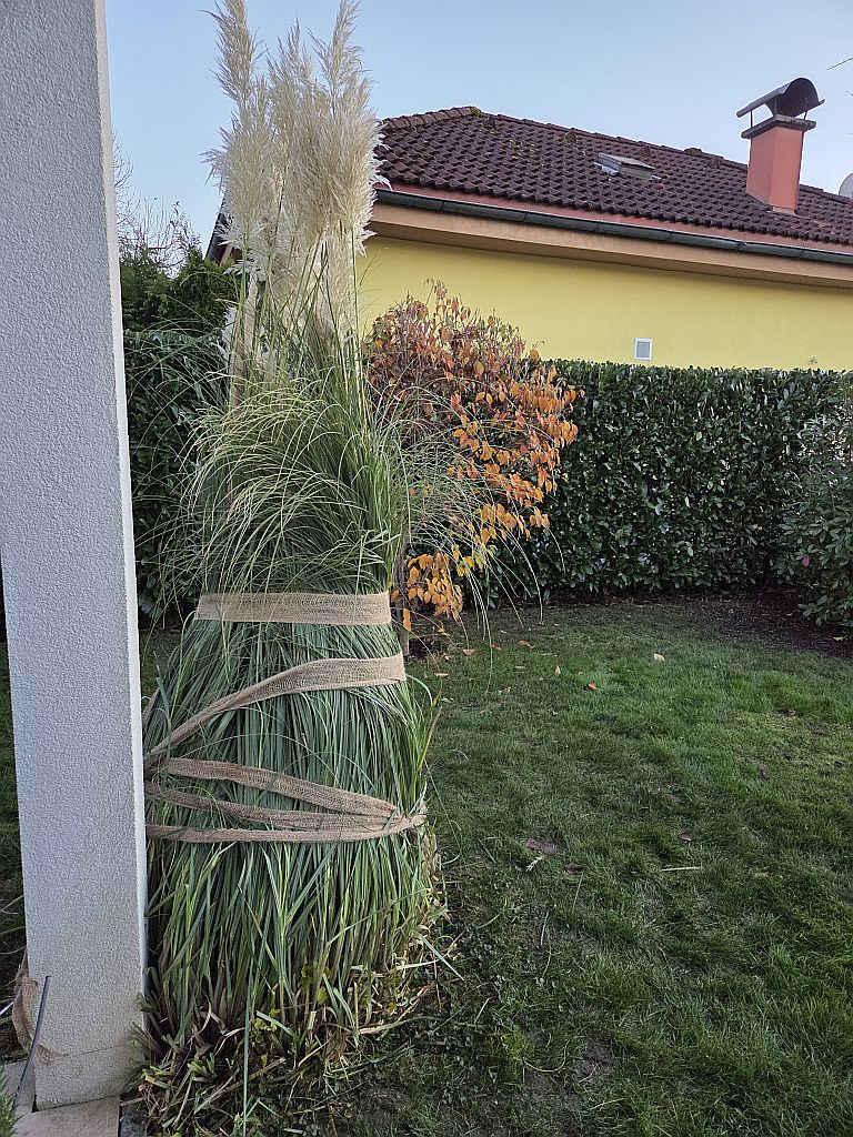 Gartenprojekt